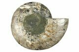 Cut & Polished Ammonite Fossil (Half) - Madagascar #274805-1